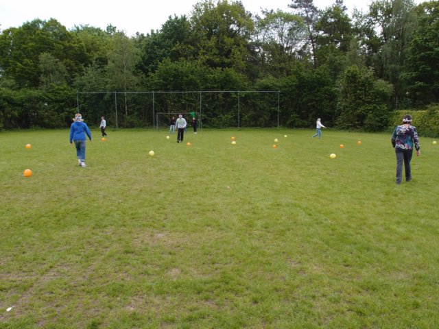 HWK 2012 Hummelo 012.jpg